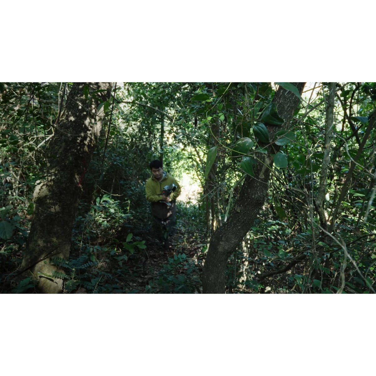 A person in a forest clearing wearing a yellow-green shirt and dark pants, holding FJD Trion T1 laser scanning dense green foliage and tree trunks.