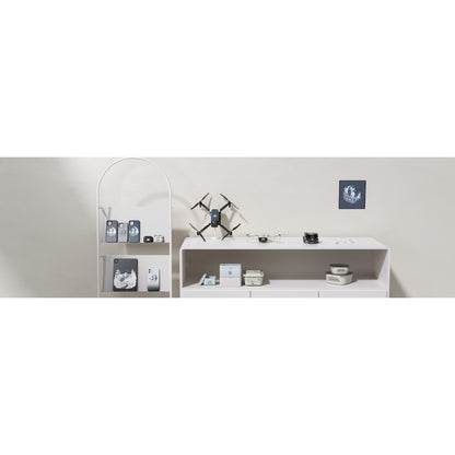 LaserPecker LP2 with Air Purifier Bundle [LP2+Air Purifier] LP2A